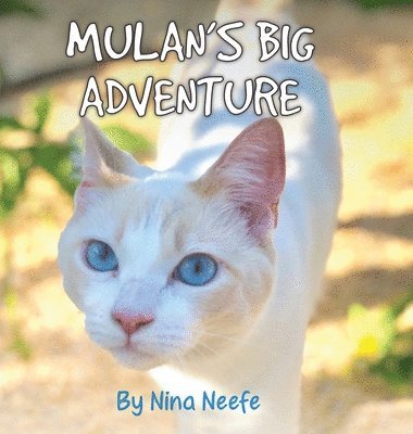 Mulan's Big Adventure 1