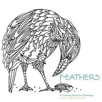 bokomslag Feathers