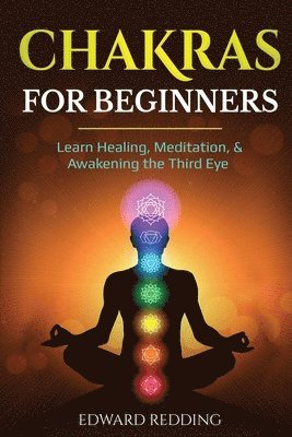 bokomslag Chakras for Beginners