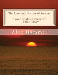 bokomslag The Laws and Secrets of Success