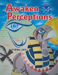 bokomslag Awaken Perceptions