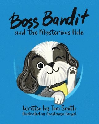 Tom W. Smith - Boss Bandit and the Mysterious Hole, Häftad