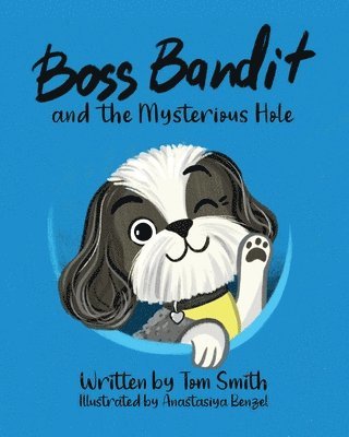 Boss Bandit and the Mysterious Hole 1