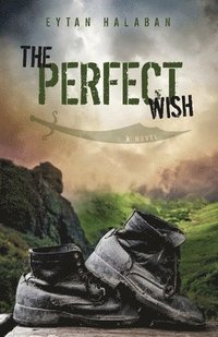bokomslag Perfect Wish