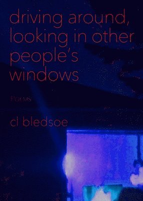 Driving Around, Looking in Other People's Windows 1