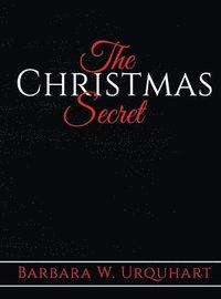 bokomslag The Christmas Secret