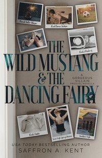 bokomslag The Wild Mustang and The Dancing Fairy