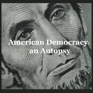 bokomslag American Democracy