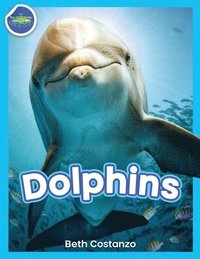 bokomslag Dolphins!