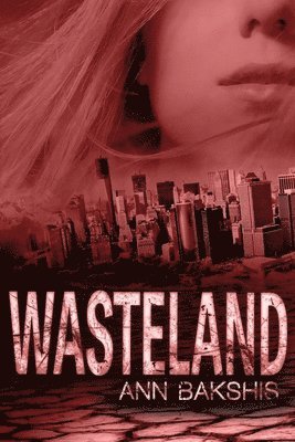 Wasteland 1