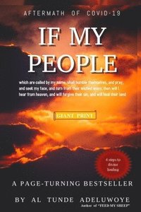 bokomslag If My People