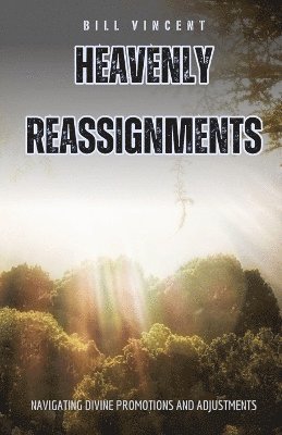 Bill Vincent - Heavenly Reassignments, Häftad