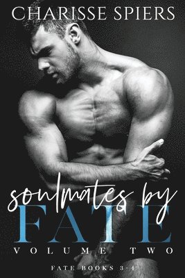 bokomslag Soulmates by Fate Volume Two