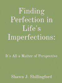 bokomslag Finding Perfection in Life's Imperfections