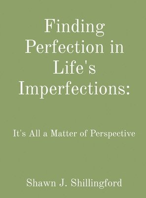 Finding Perfection in Life's Imperfections 1