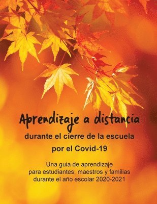 David Daniels - Aprendizaje a distancia durante el cierre de la escuela por el Covid-19, Häftad