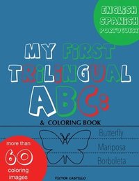 bokomslag My First Trilingual ABC