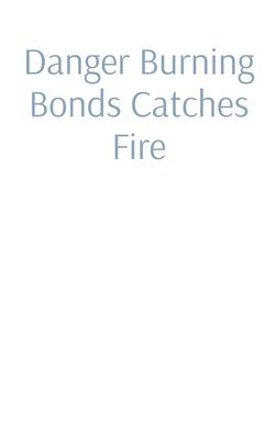 bokomslag Danger Burning Bonds Catches Fire