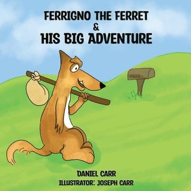 bokomslag Ferrigno the Ferret and His Big Adventure