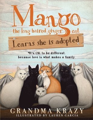 MANGO (the long haired ginger cat) LEARNS SHE IS ADOPTED 1