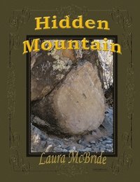 bokomslag Hidden Mountain