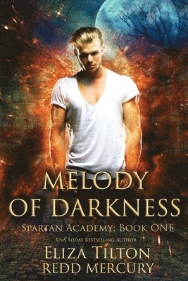Redd Mercury - Melody of Darkness, Häftad