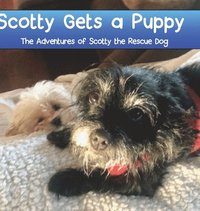 bokomslag Scotty Gets a Puppy
