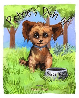 Petrie's Dish of Nerves