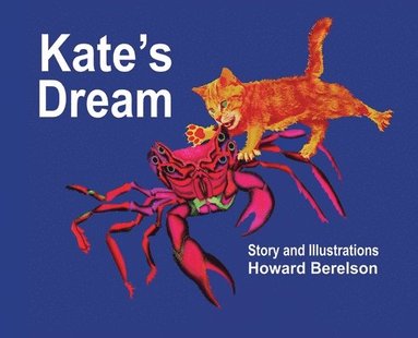 bokomslag Kate's Dream