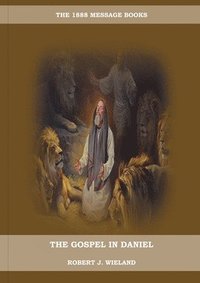 bokomslag The Gospel in Daniel