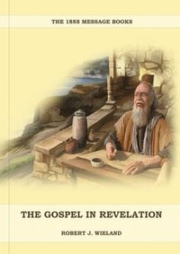 bokomslag The Gospel in Revelation