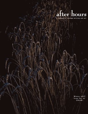 Albert Degenova, P Hertel - After Hours #43, Häftad