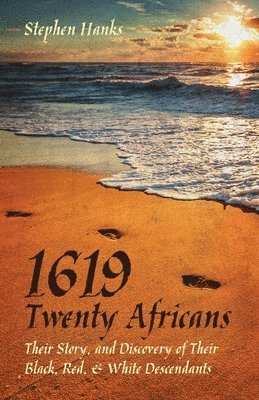 bokomslag 1619 - Twenty Africans