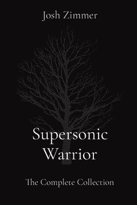 Supersonic Warrior