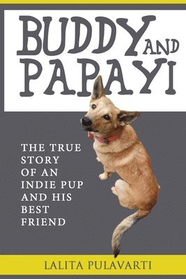 bokomslag Buddy and Papayi