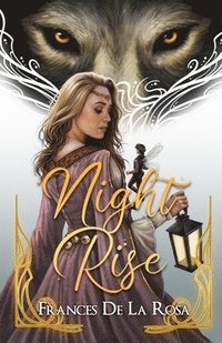 bokomslag Night Rise