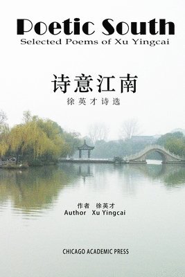 bokomslag &#35799;&#24847;&#27743;&#21335;