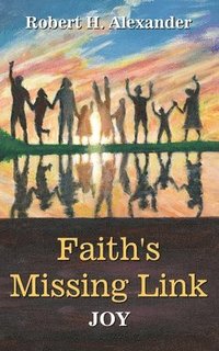 bokomslag Faith's Missing Link