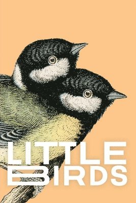 Little Birds 1