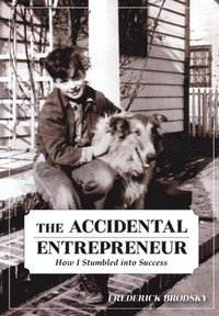 bokomslag The Accidental Entrepreneur: How I Stumbled into Success