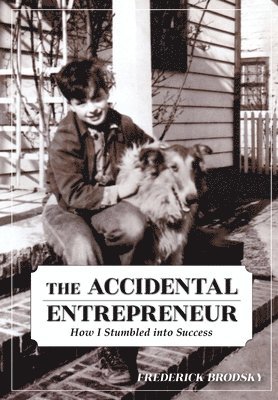 bokomslag The Accidental Entrepreneur
