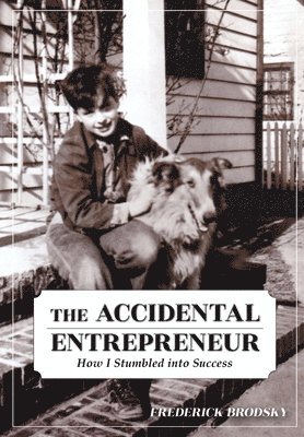 The Accidental Entrepreneur: How I Stumbled into Success 1