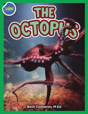 Beth Costanzo, Beth COSTANZO - Octopus ages 2-4, Häftad