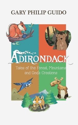 bokomslag Adirondack
