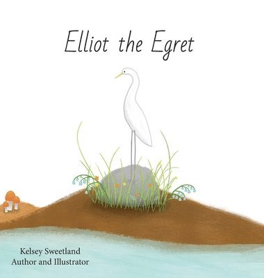 Elliot the Egret 1