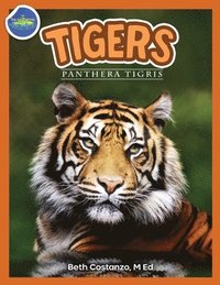 bokomslag Tigers, Panthera Tigris ages 2-4