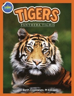 Tigers, Panthera Tigris ages 2-4 1