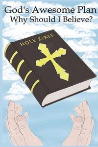 bokomslag God's Awesome Plan