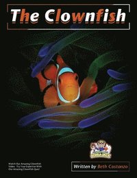 bokomslag Clownfish Activity Workbook For Kids
