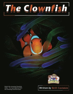 Clownfish Activity Workbook For Kids